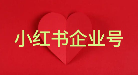 小红书企业号运营从0起号运营步骤思路