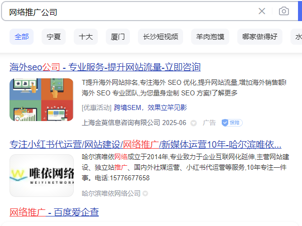 本公司官网seo优化排名展示